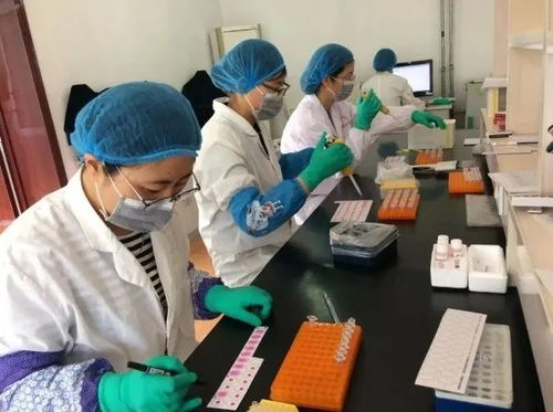 威海文登區畜牧獸醫技術服務中心 靠前服務保穩產 技術服務促發展