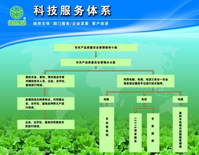 構(gòu)建高效科技服務(wù)體系 以技術(shù)服務(wù)為核心驅(qū)動